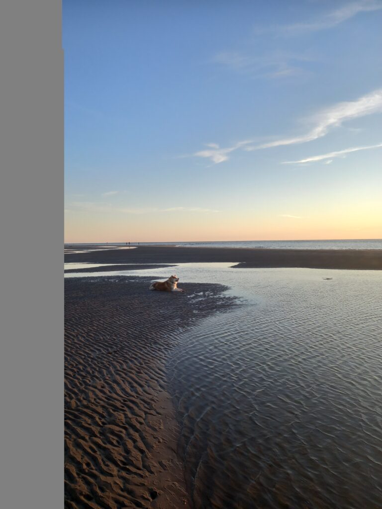 Ynyslas Beach near Aberystwyth